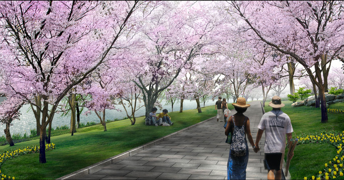 櫻花