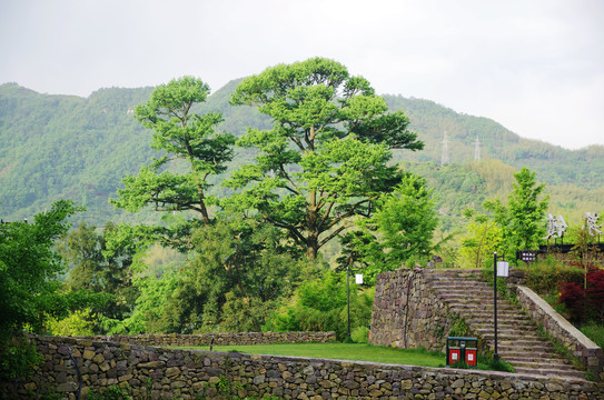 四明山