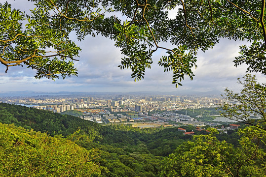 深圳沙井