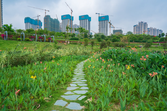 石头石板路乡间小路