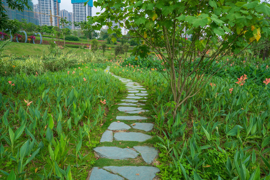 石头石板路乡间小路