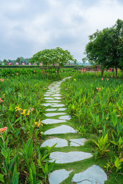 石头石板路乡间小路