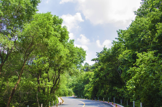 鞍山上石桥公路与两侧树木