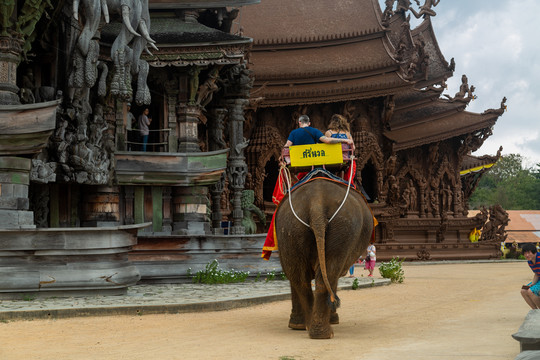 泰国真理寺景区内大象