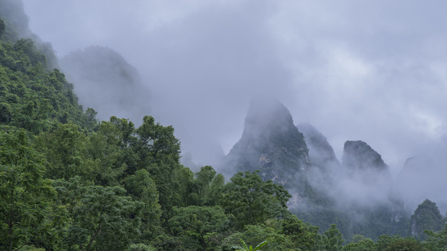 风景