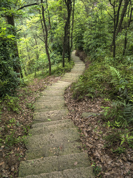 金华九峰山山路