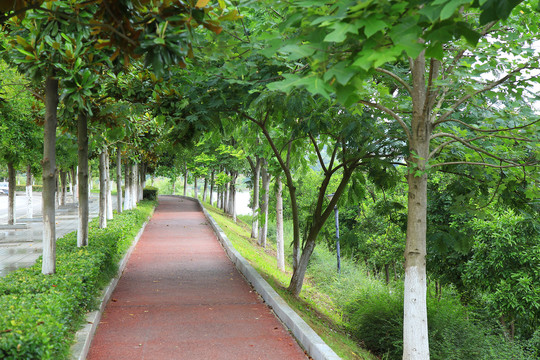 橡胶跑道