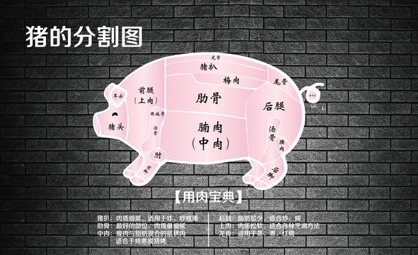 豬肉的分割圖