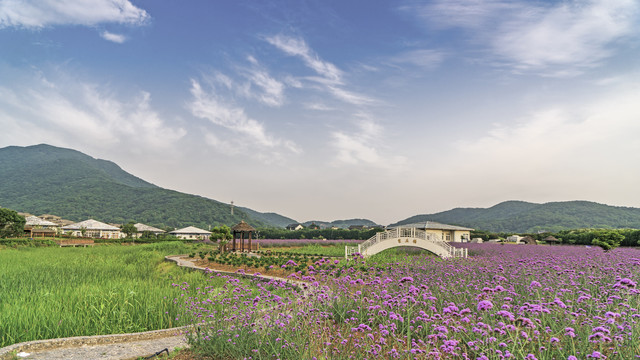 桃花岛塔湾金沙景区