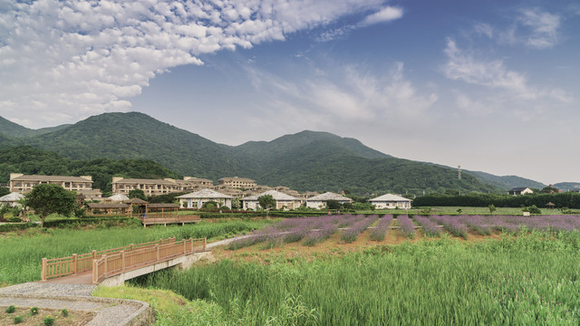 桃花岛塔湾金沙景区