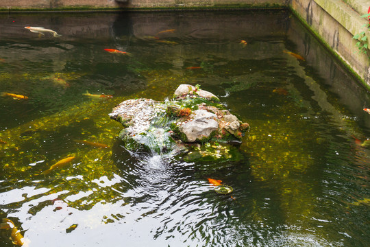 江苏苏州寒山寺放生池