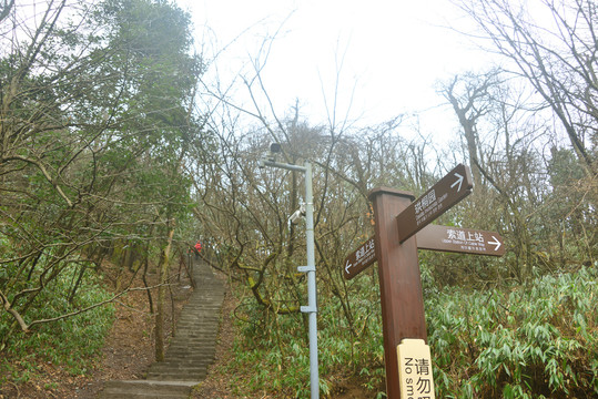 张家界天门山珙桐园导引牌