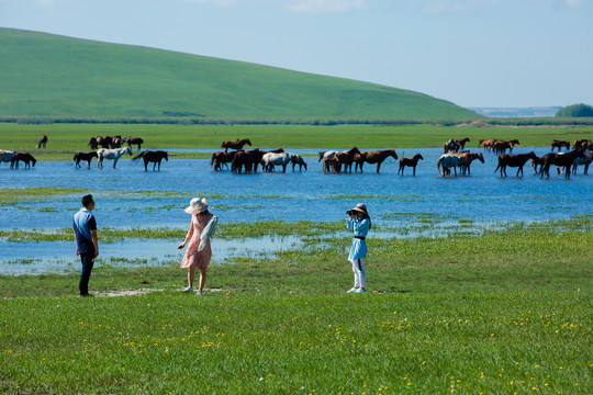 草原河流马群游客