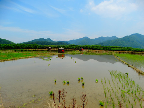 西村风景田野谷仓