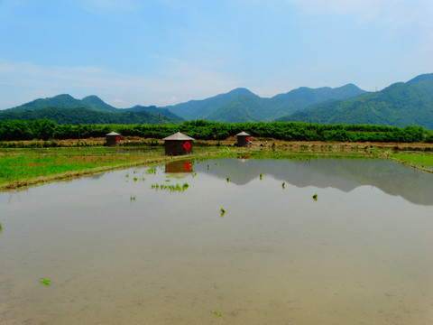 西村风景田野谷仓