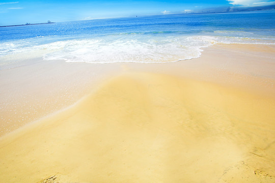 旅行度假海岛沙滩椰树海景