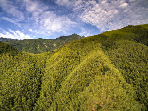 衢州药王山竹海航拍