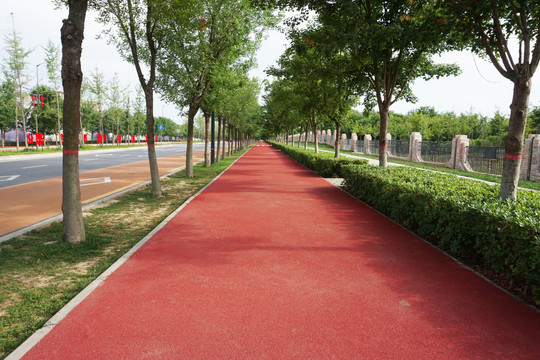 自行車道路