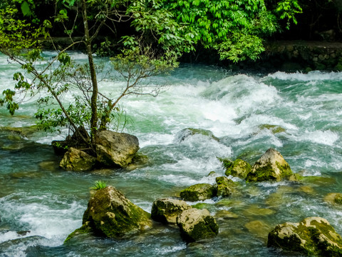 荔波溪流