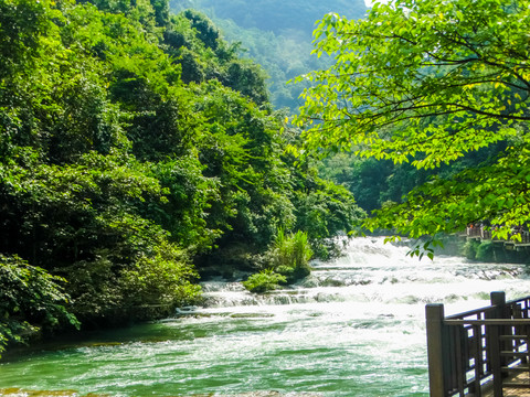 荔波河流