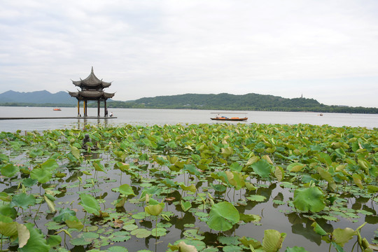 西湖风光