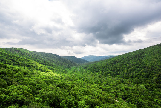 青山