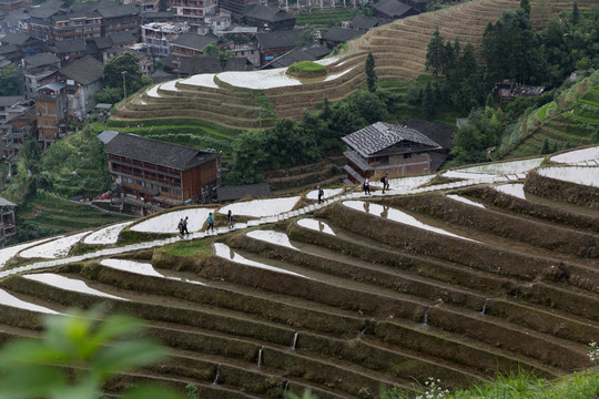 龙脊梯田