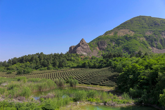 蓝天山丘