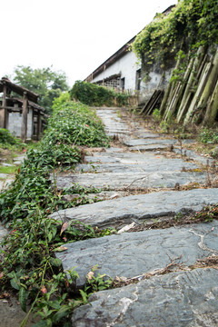 乡村石板路