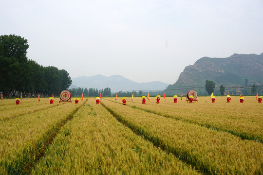 小麦文化节