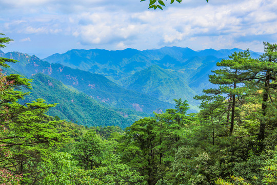 山景