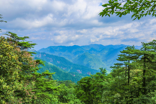 山景