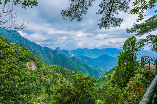 山景