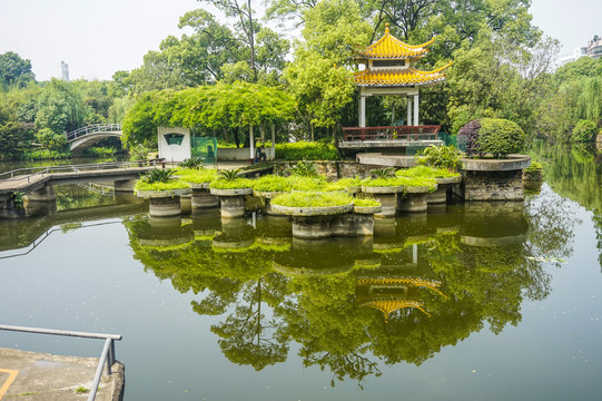 雨湖公园