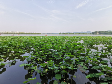 杭州西湖