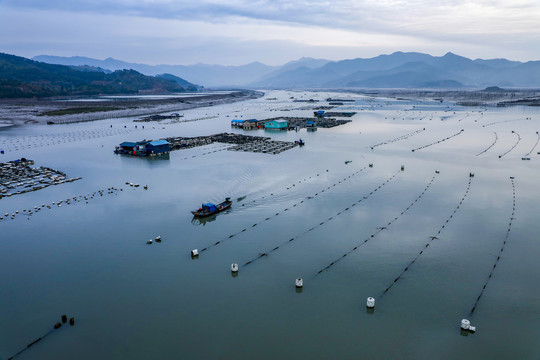 海湾捕鱼