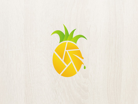 logo標(biāo)志商標(biāo)字體設(shè)計(jì)菠蘿