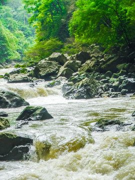 荔波山水