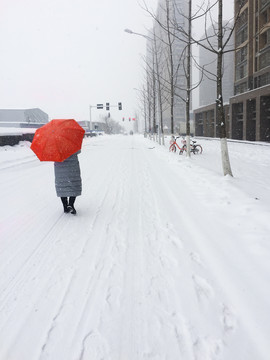 冬雪