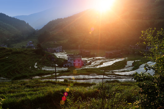 田园风光