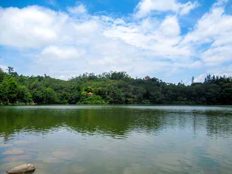 仙湖植物园