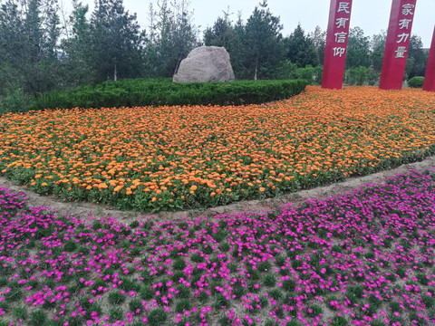 小紅花