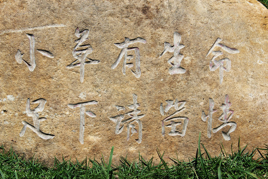 石雕标示牌