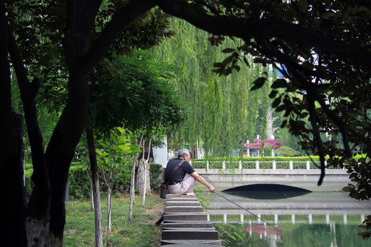 树荫下垂钓