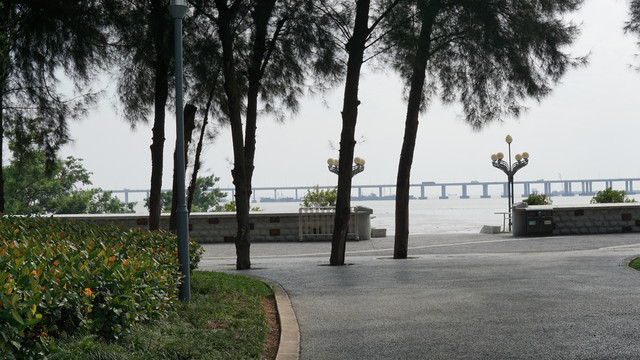 海岸道路