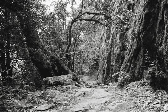 茶马古道遗址山路