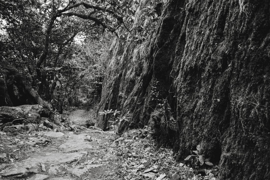 茶马古道遗址山路