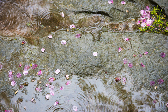 花落满地