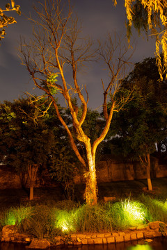 前门三里河夜景