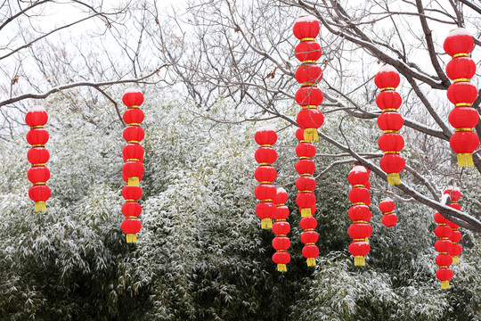 雪中的红灯笼